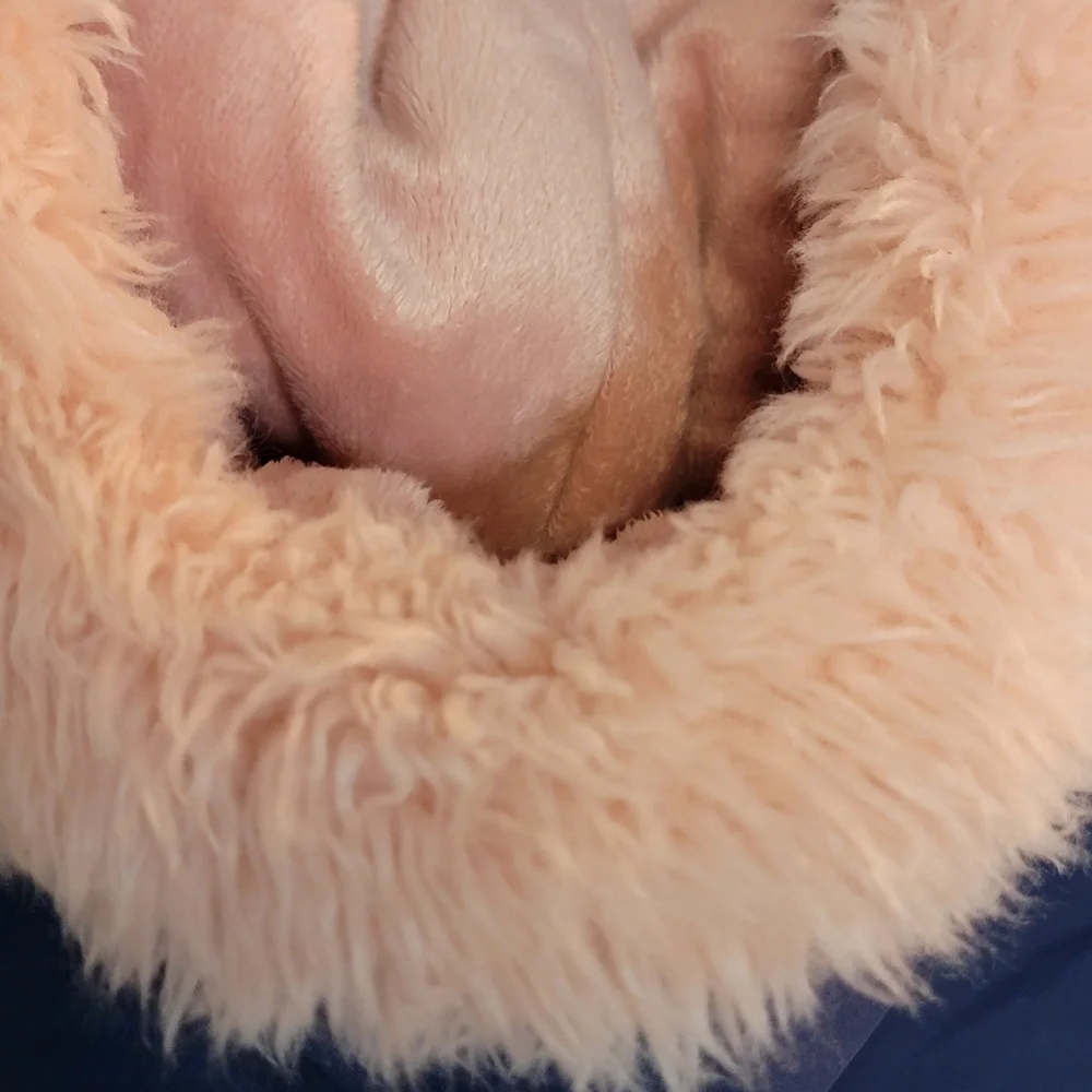 OshKosh B'gosh Navy Parka With Pink Fur